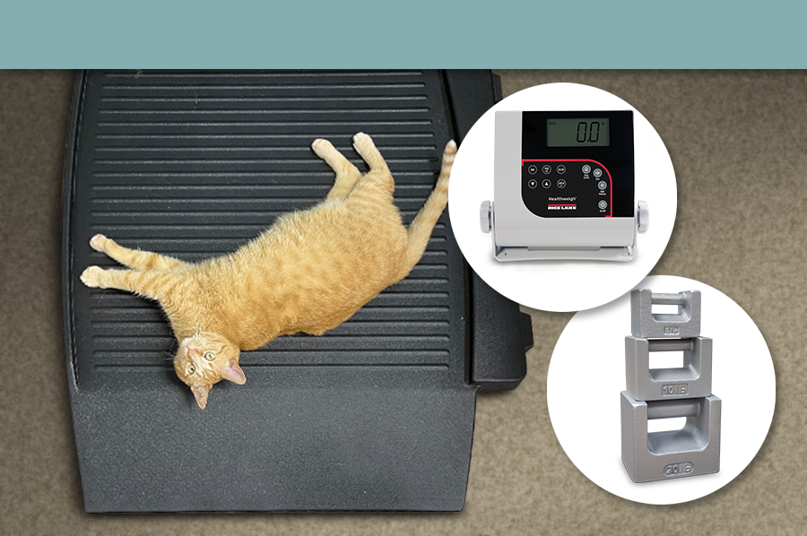 RL-Pet-Scale