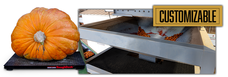 1 WEB Agriculture Floor Scales