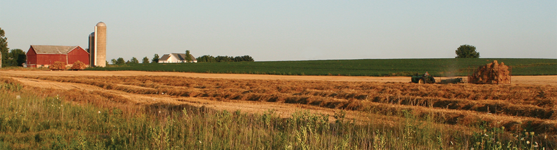 Rural Picture