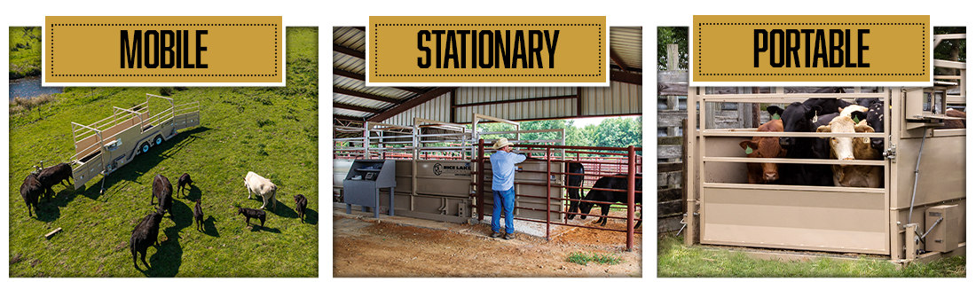 1 WEB Agriculture Livestock Scales